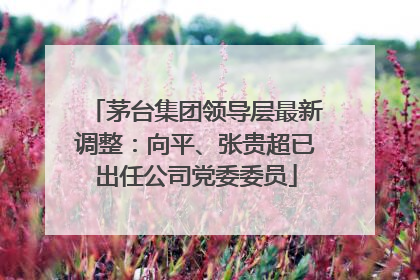 茅台集团领导层最新调整：向平、张贵超已出任公司党委委员