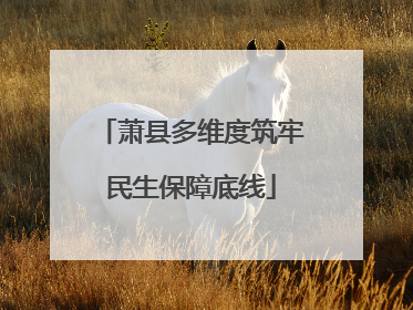 萧县多维度筑牢民生保障底线
