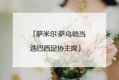 萨米尔·萨乌德当选巴西足协主席
