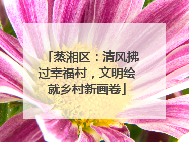 蒸湘区：清风拂过幸福村，文明绘就乡村新画卷