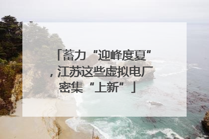 蓄力“迎峰度夏”，江苏这些虚拟电厂密集“上新”