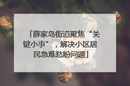 薛家岛街道聚焦“关键小事”，解决小区居民急难愁盼问题