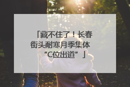 藏不住了！长春街头耐寒月季集体“C位出道”