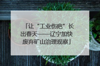 让“工业伤疤”长出春天——辽宁加快废弃矿山治理观察