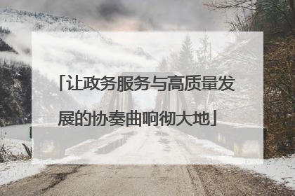 让政务服务与高质量发展的协奏曲响彻大地