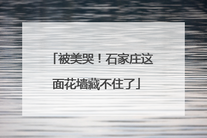 被美哭！石家庄这面花墙藏不住了