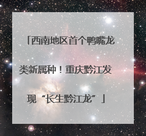 西南地区首个鸭嘴龙类新属种！重庆黔江发现“长生黔江龙”