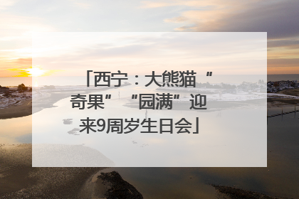 西宁：大熊猫“奇果”“园满”迎来9周岁生日会