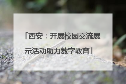 西安：开展校园交流展示活动助力数字教育