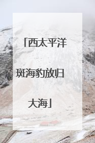 西太平洋斑海豹放归大海