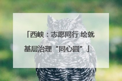 西峡：志愿同行 绘就基层治理“同心圆”