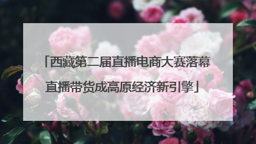 西藏第二届直播电商大赛落幕 直播带货成高原经济新引擎