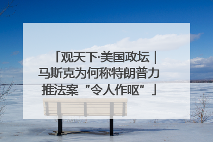 观天下·美国政坛｜马斯克为何称特朗普力推法案“令人作呕”