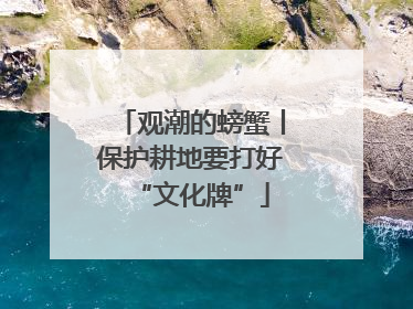 观潮的螃蟹丨保护耕地要打好“文化牌”