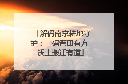 解码南京耕地守护：一码管田有方 沃土搬迁有道