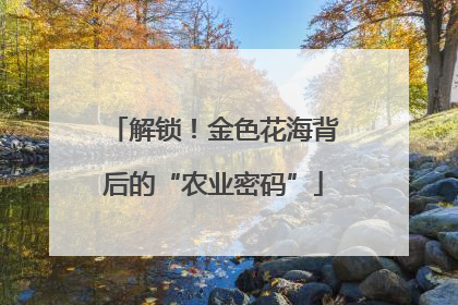解锁！金色花海背后的“农业密码”