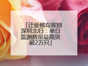 迁徙候鸟挥别深圳北归：单日监测数量最高突破2万只