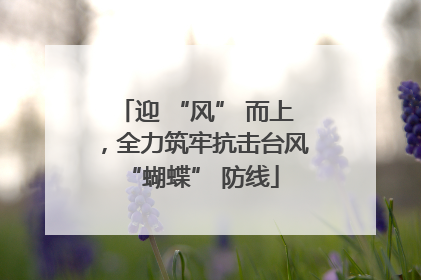 迎 “风” 而上，全力筑牢抗击台风 “蝴蝶” 防线
