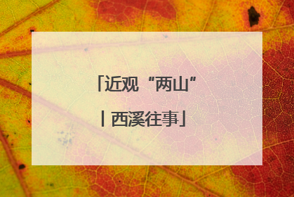 近观“两山”丨西溪往事