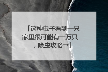 这种虫子看到一只家里很可能有一万只，除虫攻略→