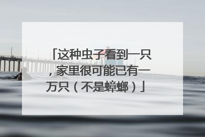 这种虫子看到一只，家里很可能已有一万只（不是蟑螂）