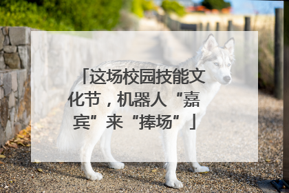 这场校园技能文化节，机器人“嘉宾”来“捧场”