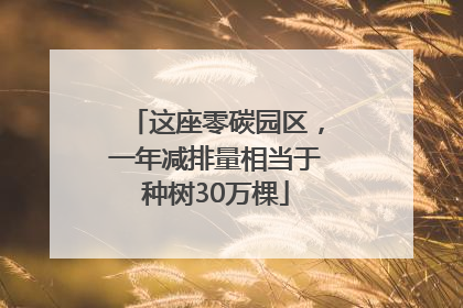 这座零碳园区，一年减排量相当于种树30万棵