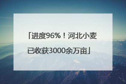 进度96%！河北小麦已收获3000余万亩