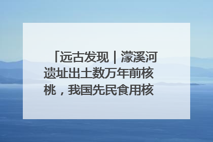 远古发现｜濛溪河遗址出土数万年前核桃，我国先民食用核桃历史大幅提前