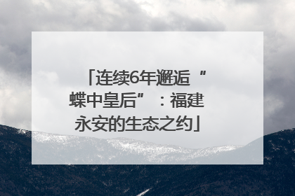 连续6年邂逅“蝶中皇后”：福建永安的生态之约