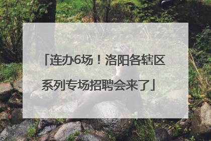 连办6场！洛阳各辖区系列专场招聘会来了