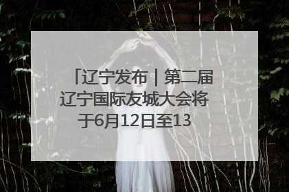 辽宁发布｜第二届辽宁国际友城大会将于6月12日至13日在沈阳举办