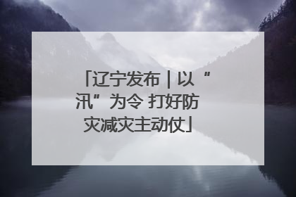 辽宁发布｜以“汛”为令 打好防灾减灾主动仗