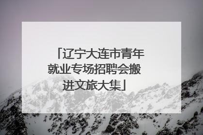 辽宁大连市青年就业专场招聘会搬进文旅大集