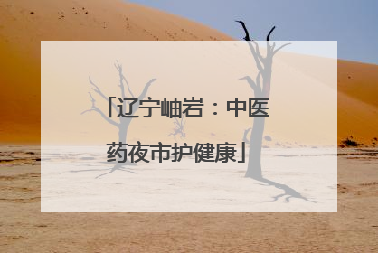 辽宁岫岩：中医药夜市护健康