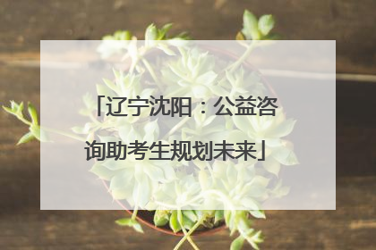 辽宁沈阳：公益咨询助考生规划未来