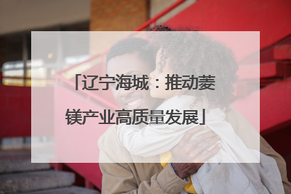 辽宁海城：推动菱镁产业高质量发展