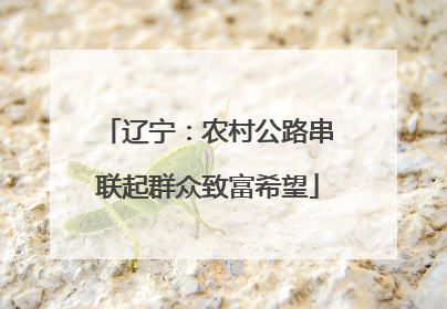 辽宁：农村公路串联起群众致富希望