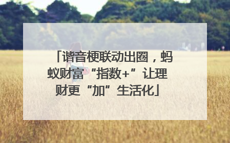 谐音梗联动出圈，蚂蚁财富“指数+”让理财更“加”生活化