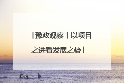 豫政观察丨以项目之进看发展之势