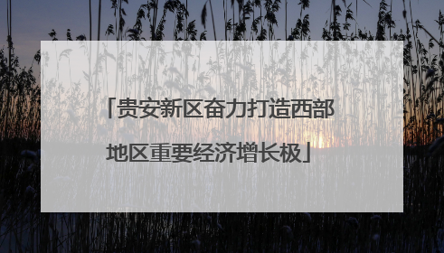贵安新区奋力打造西部地区重要经济增长极