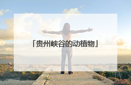 贵州峡谷的动植物