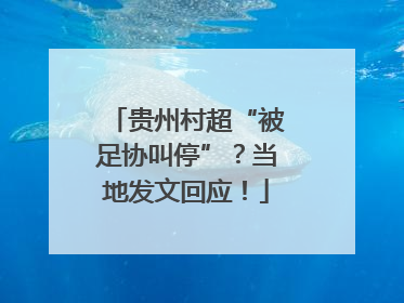 贵州村超“被足协叫停”？当地发文回应！