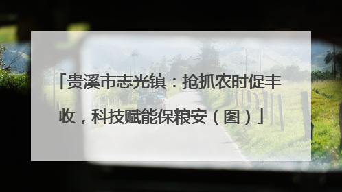 贵溪市志光镇：抢抓农时促丰收，科技赋能保粮安（图）