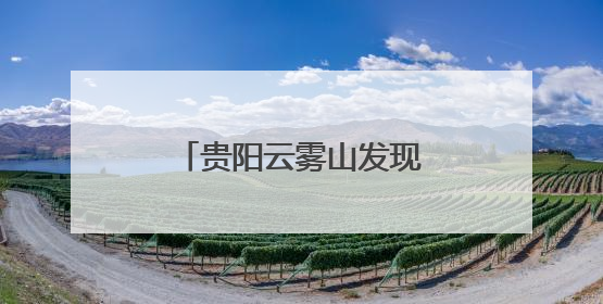 贵阳云雾山发现清代“环保碑”