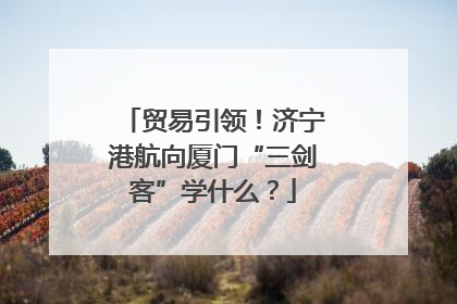 贸易引领！济宁港航向厦门“三剑客”学什么？