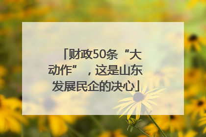财政50条“大动作”，这是山东发展民企的决心