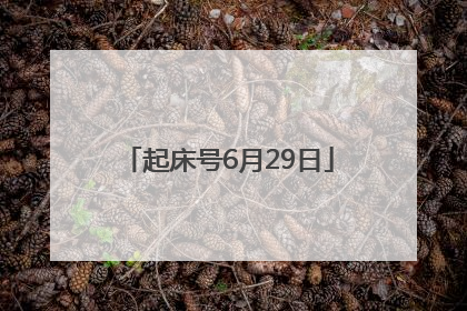起床号6月29日