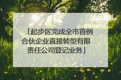 起步区完成全市首例合伙企业直接转型有限责任公司登记业务