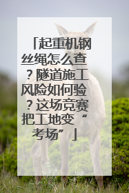 起重机钢丝绳怎么查？隧道施工风险如何验？这场竞赛把工地变“考场”